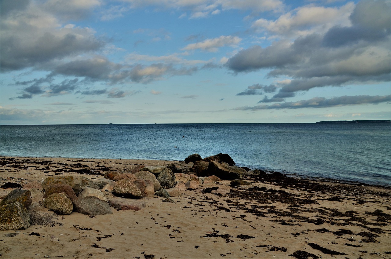 Longevity Protocols 2026: Practical, Evidence-Guided Roadmap