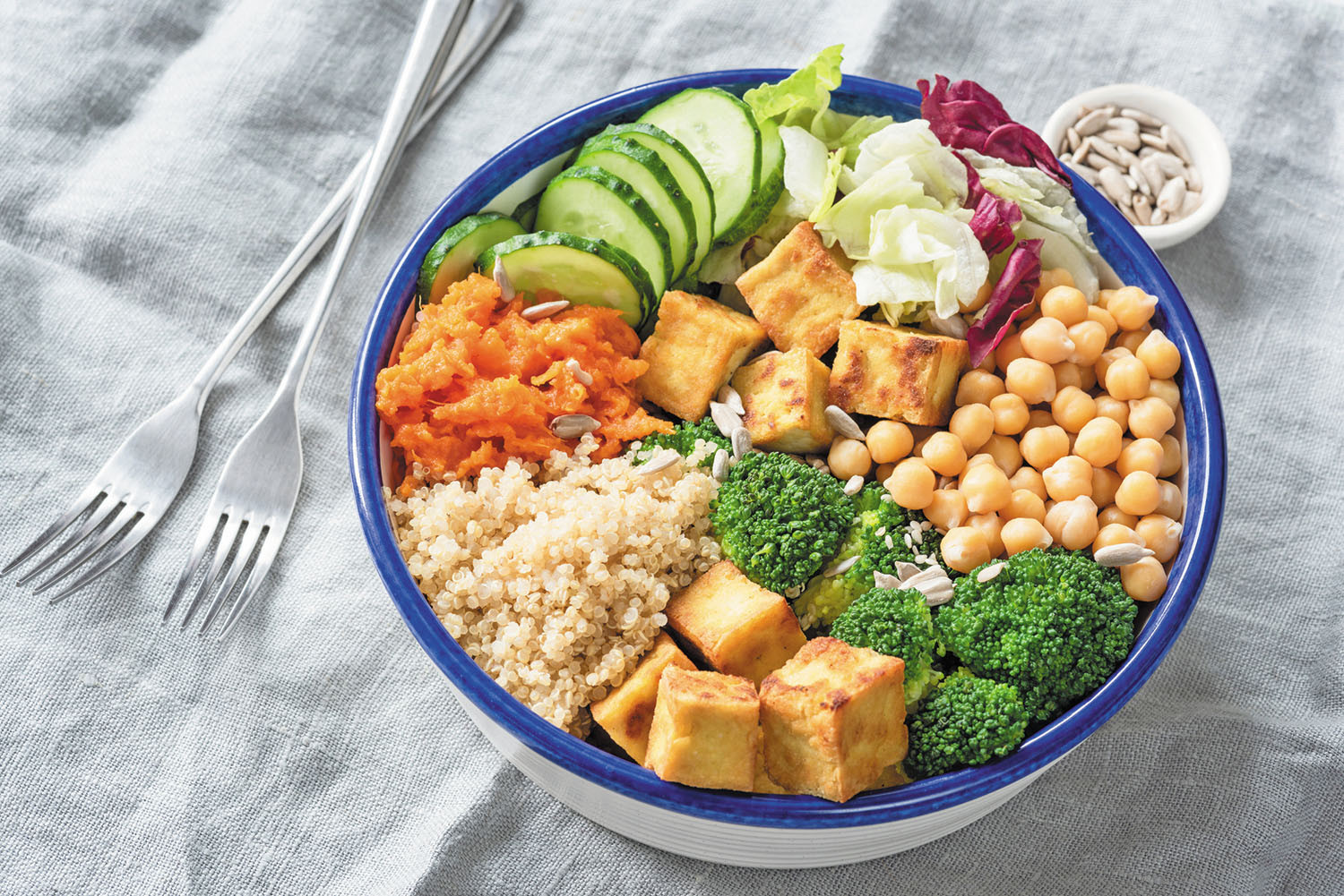 Valter Longo Longevity Protocol: Fasting-Mimicking Diet And Longevity Diet Guide